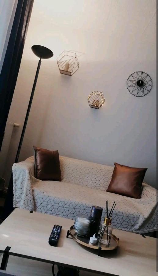 Un Temps Pour Soi Apartment Chateauroux Bagian luar foto