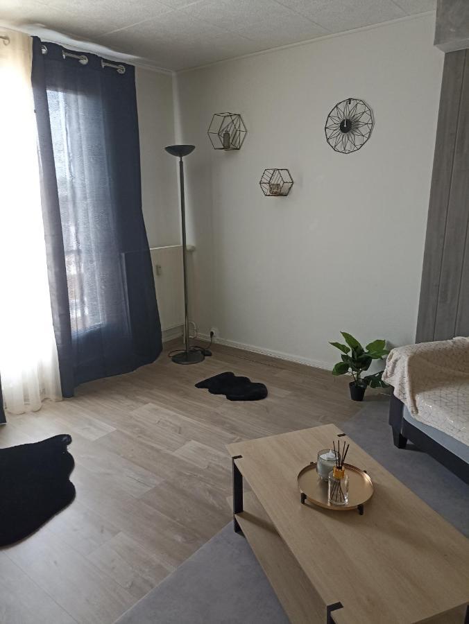 Un Temps Pour Soi Apartment Chateauroux Bagian luar foto